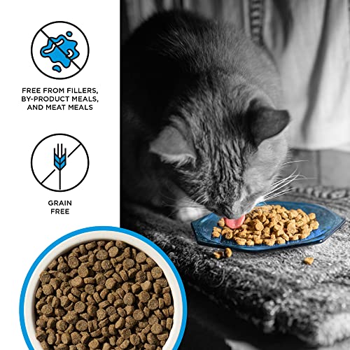 Liberty Dry Food Salmon Recipe for Cats