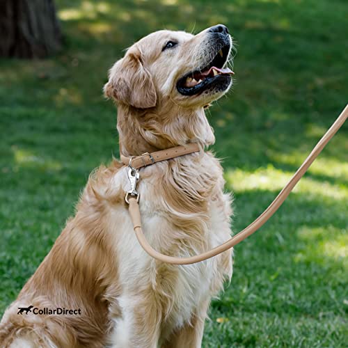 Tangle Free Rolled Leather Dog Collar