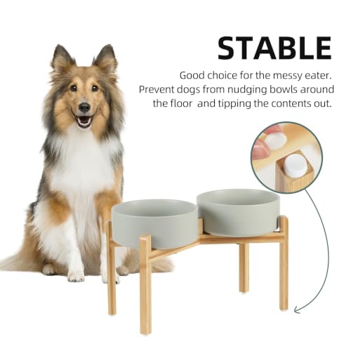 Dog Bowls Elevated (Matte Gray)