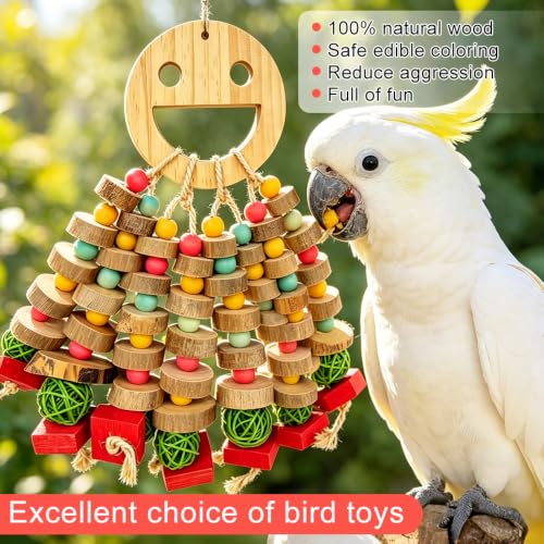 Large Bird Toys for Parrots Toys Natural Colored Wooden Bird Cages Chew Accessories for Macaws (Colorful Round Discs)