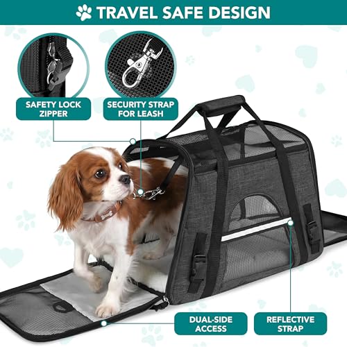 Airline Approved Pet Carrier Cats Small Dogs (Charcoal / 17.0"L x 10.2"W x 11.2"H)