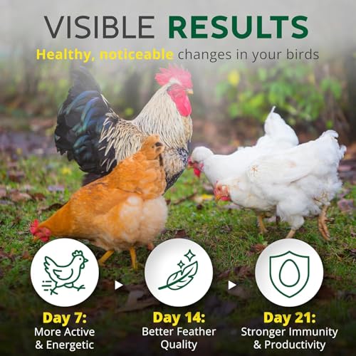 Dust Bath for Chicken Nesting Herbs Blend Coop Floor (5 Lb (Pack of 1))