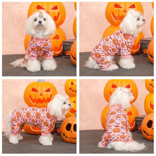 Small Dogs Outfit Soft Puppy Onesies Pjs Halloween Dog Pajamas Pet Coat Cat Apparel Comfy Doggie Jumpsuit Bodysuit for All Seasons P351M (Candy Pumpkin / Medium)