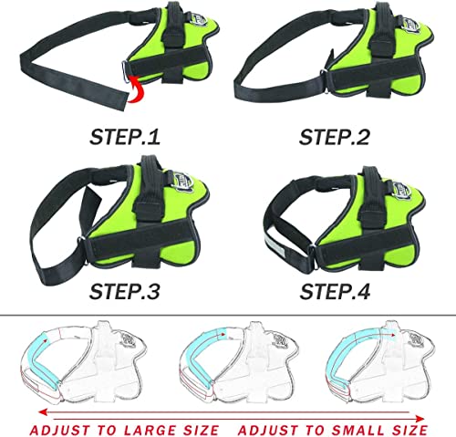 Dog Harness No (Small (Pack of 1) / Green)