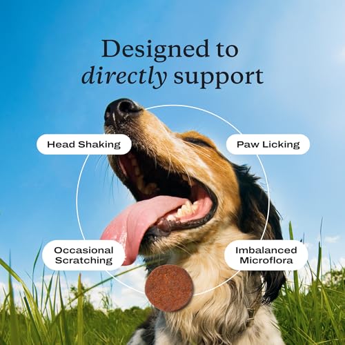 Allergy & Immune Probiotic Chews (Single Pack)