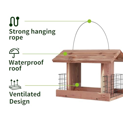Solution4Patio Squirrel (Rectangle)