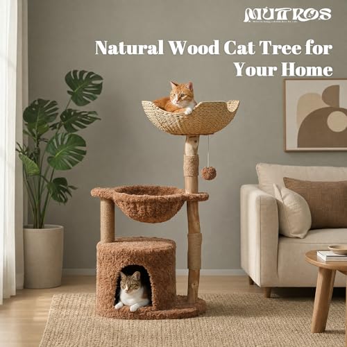 40" Modern Wood Cat Tree with Rattan Basket & Hammock (Brown / 40" Solid Wood Cat Tree)
