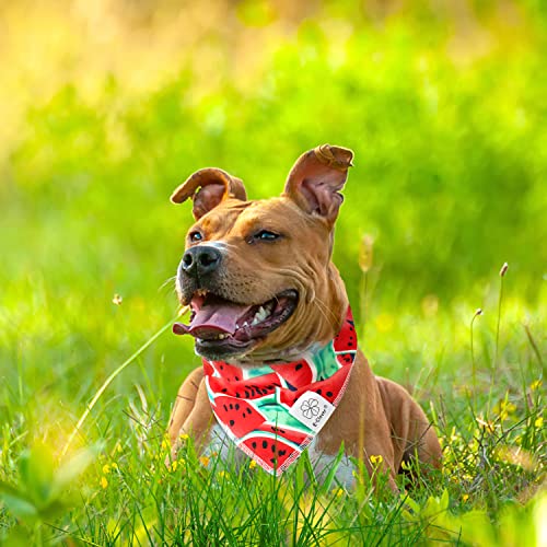 Summer Dog Bandanas Girl Matching Dog Bandana and Scrunchie Large (watermelon / Large-set of 1)