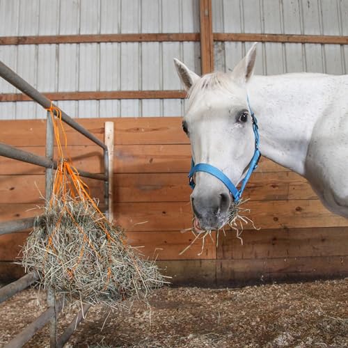 1200 D Hay Feeder Tote Bag for Horses (Turquoise)