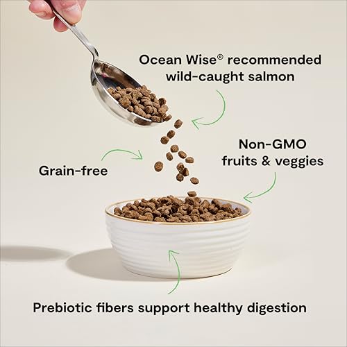 Grain Free Dry Cat Food (8 Pound (Pack of 1))