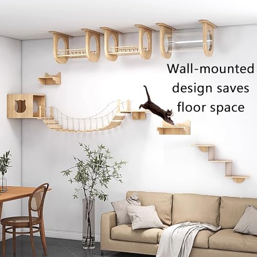 Cat Wall Climber