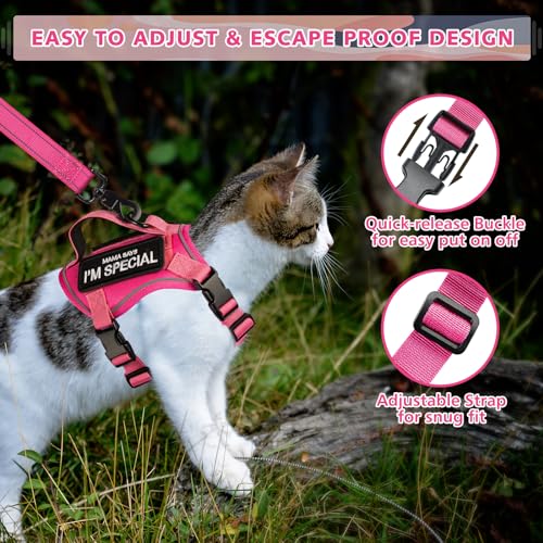 Tactical Cat Harness and Leash (Large / Pink)