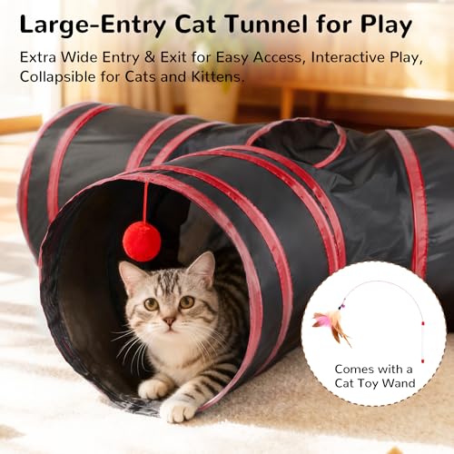 Cat Tunnel, 3-Way Collapsible Toy for Indoor Cats, Black & Red (Black & Red / Small)