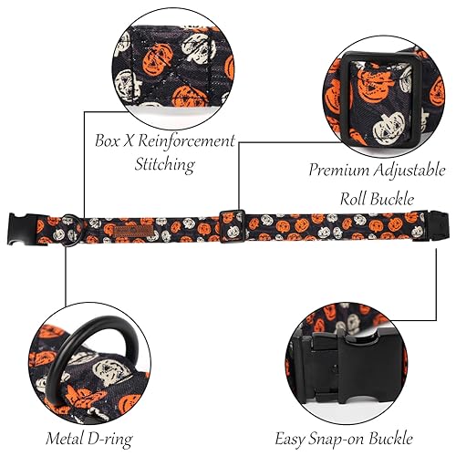 Dog Collar with Flower (Large (Pack of 1) / B:Y&W Pumpkin)