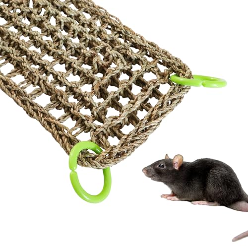 Rat Climbing Toys