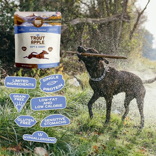 Healthy Soft Dog Treats (5 Ounce (Pack of 3))