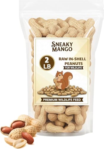 Raw Peanuts in Shell (2 Pound (Pack of 1))