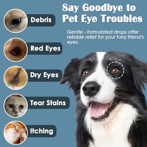Dog Eye Drops