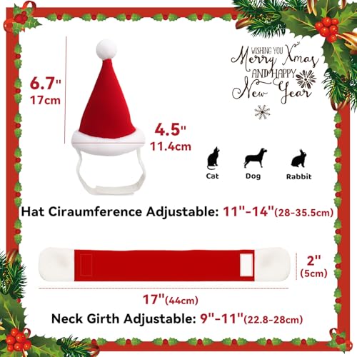 Cat Christmas Costume (Xmas Costume)