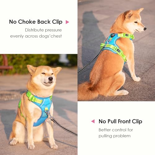 No Pull Dog Harness (Blue Base & Green Straps / Large)