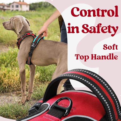 Dog Harness for Large (Large / Red)