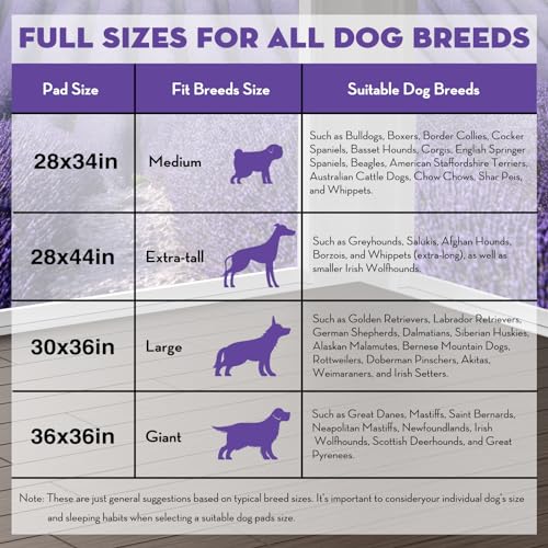 Puppy Pads with Adhesive Tabs Leak Proof Lavender Scent 30x36in 40Ct (Extra Large-30x36in(40Ct))