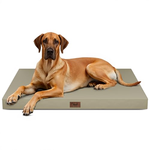 Jumbo Waterproof Orthopedic Dog Bed for Extra Large Dogs (khaki / 53.0"L x 36.0"W x 4.0"Th)