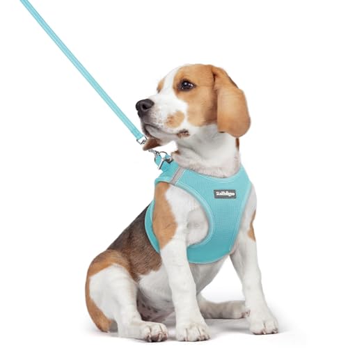 Dog Harness Medium Sized and Leash Set (Mint Blue / L (chest: 18.2 - 20.5"))