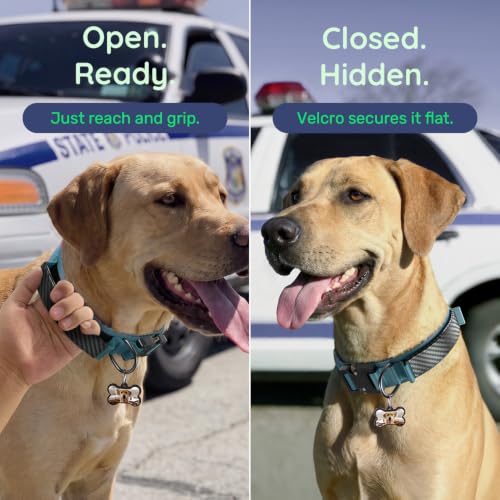 Personalized Tactical Dog Collar with Custom Photo Name for Large Dogs (Blue / L: Fits Neck 17.5"-21.5")