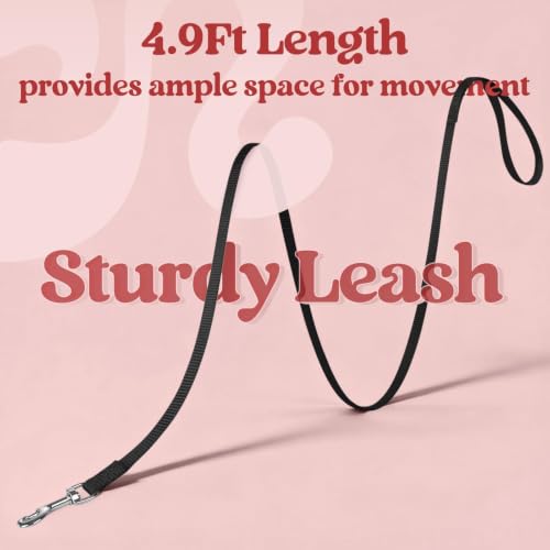 Cat Harness and Leash Set (S / Black)
