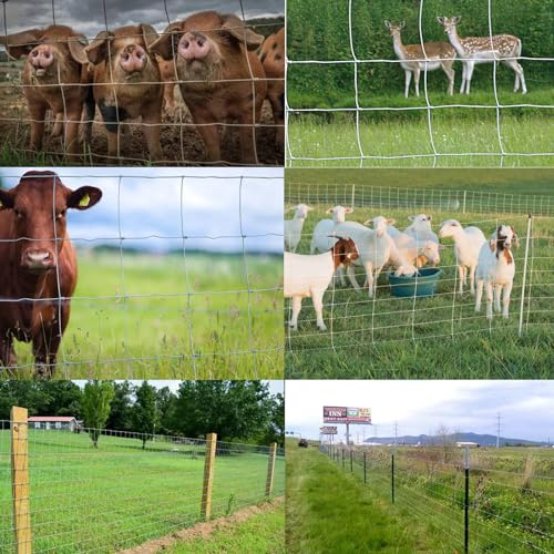 Farm Fence 6ft x 100ft Heavy Zinc Coating Field Wire Fencing (72inX100ft)