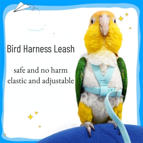 Pet Parrot Bird Harness Leash Adjustable Bird Flying Harness Traction Rope with Cute Wing for Parrots Pigeons Budgerigar Lovebird Cockatiel Mynah Outdoor Training Toy (XL / Blue)