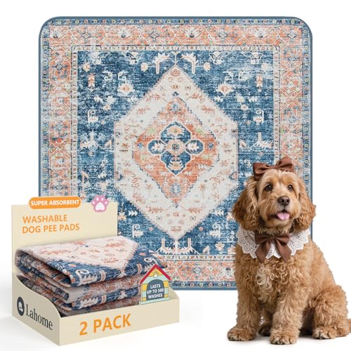 Super Absorbent Washable Pee Pads for Dogs (Beige Blue / 3FT x 3FT (Pack of 2))
