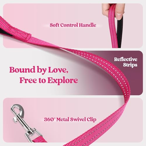 Dog Harness Medium Sized and Leash Set (Rose Red / L (chest: 18.2 - 20.5"))