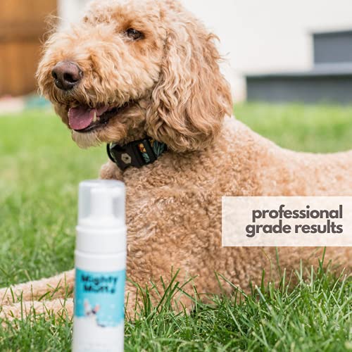 Hypoallergenic Waterless Dog Shampoo (8 Fl Oz / Spring Meadow)