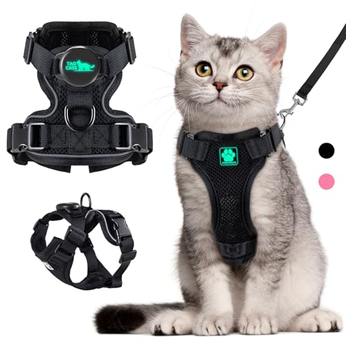 Cat Harness and Leash for Walking (XS / Black)
