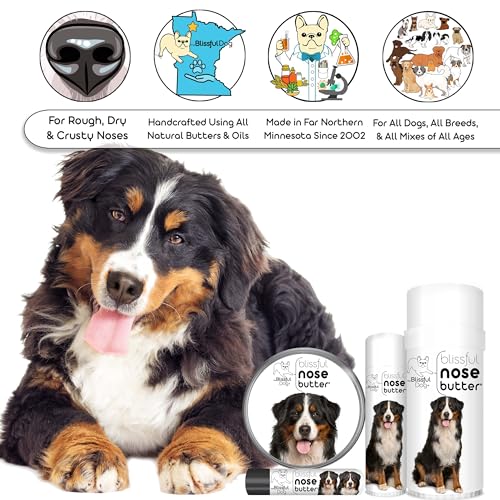 Bernese Mountain Nose Butter (Bernese Mountain Dog / 1 Ounce)