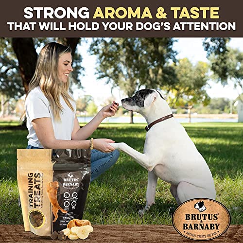 Natural Peanut Butter & Banana Dog Training Treats (1 Pound (Pack of 1))