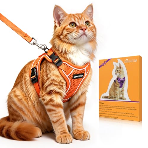 Cat Harness and Leash Set (H600 Pro Orange / Medium (13-18lb))