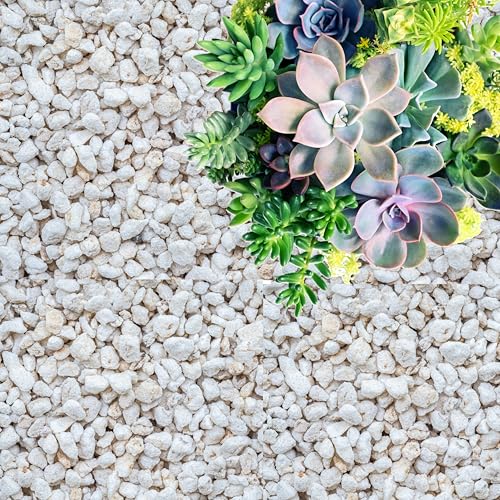 Perlite for Plants (Coarse and Chunky Perlite / 1 qt)