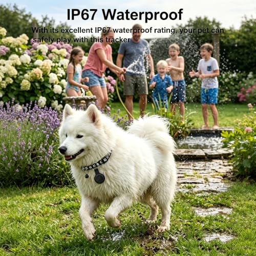 GPS Tracker for Dogs and Cats (Black-Collar)