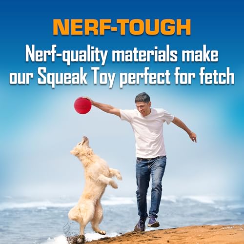 Classic Squeak Ball Outdoor Dog Toy (Green/Red / 1 Count (Pack of 2) / 2-Pack)