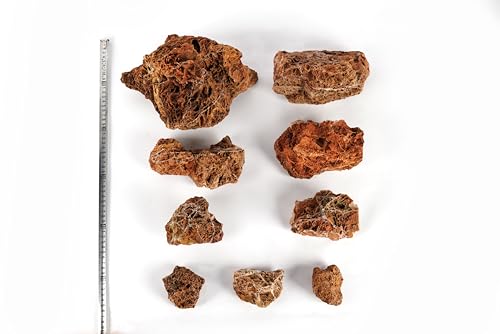 Maple Leaves Stone 18lb Natural Aquarium Rocks for Fish Tank Decor (14 Maple Leaves Stone(3-9 inches,18lbs))