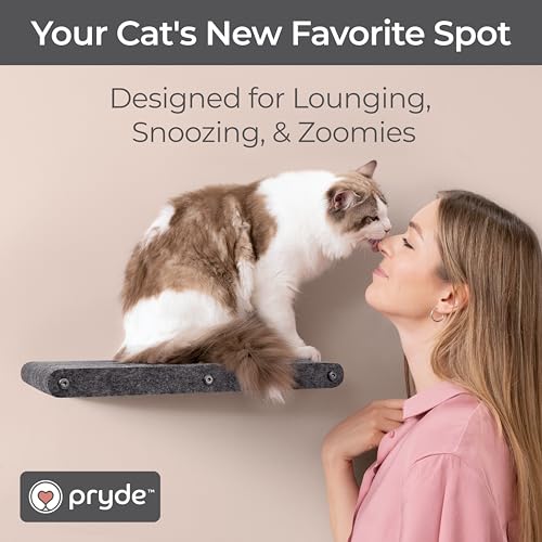 Cat Wall Shelf (Charcoal / 1 Long Cat Climber)