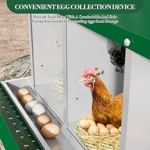 8 Hole Chicken Nesting Box with Roll Out Egg Tray