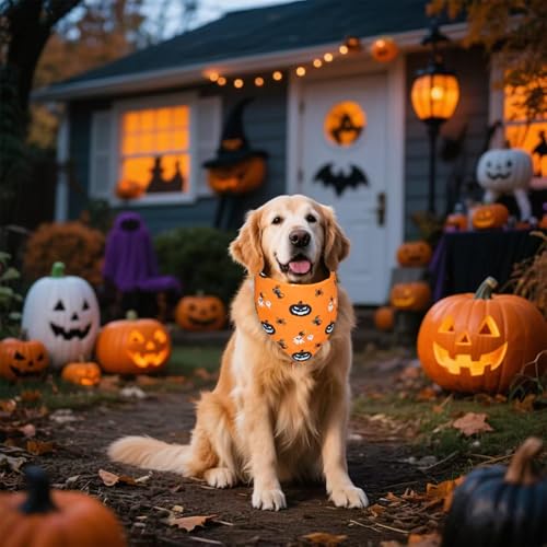 Halloween Dog Bandana for Medium Dogs (Halloween - Orange / Large)