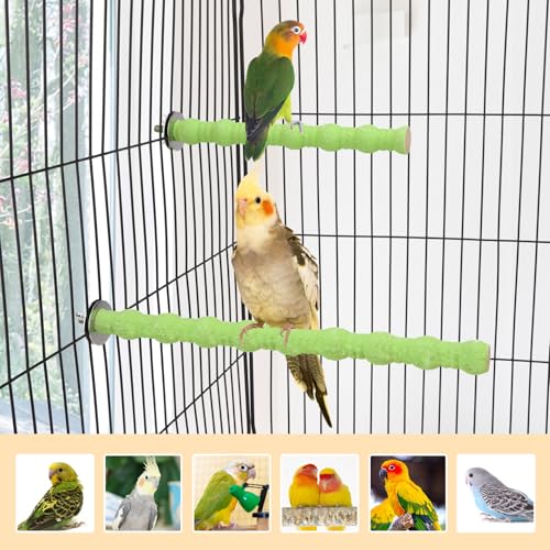 Wood Perch Stand Bird Cage Paw Beak Grinding Stick (Green)