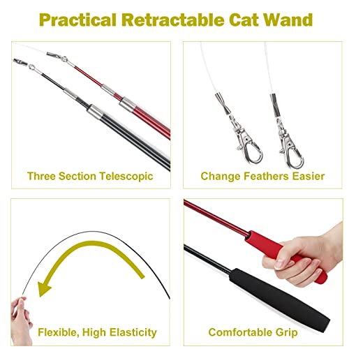 Cat Toys for Indoor Cats