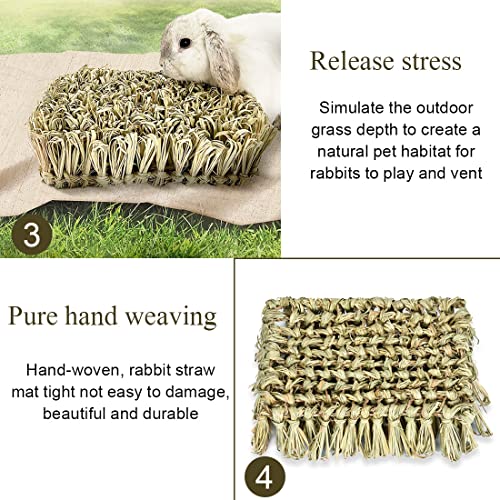 Rabbit Grass Bed Bunny Natural Woven Foraging Mat Guinea Pig Hay Mat Enrichment Toy Scratch Pad for Chinchilla Squirrel Hedgehog (1PCS)