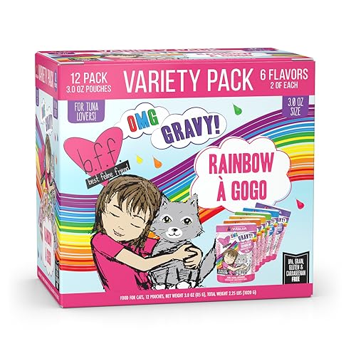 B.F.F. OMG Best Feline Friend Oh My Gravy! (3 Ounce (Pack of 12))